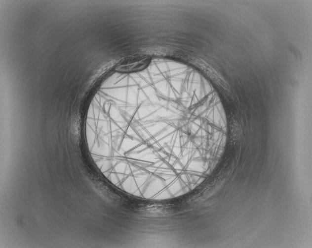 X0000115660064200912101100
