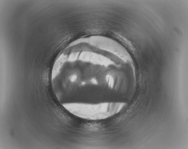 X0000115660065200912101100