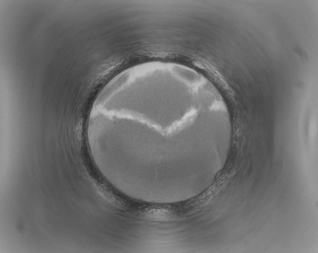 X0000115660066200912101100