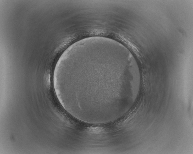 X0000115660067200912101100