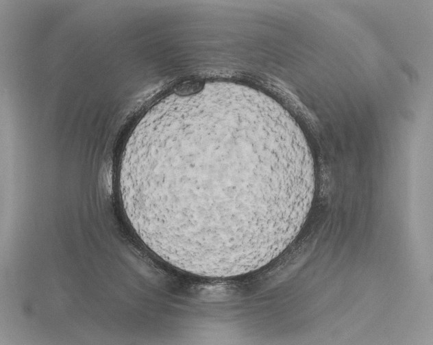 X0000115660068200912101100