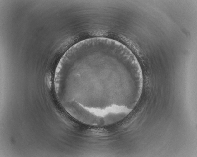 X0000115660069200912101100