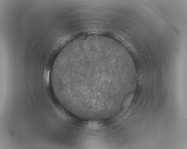 X0000115660070200912101100