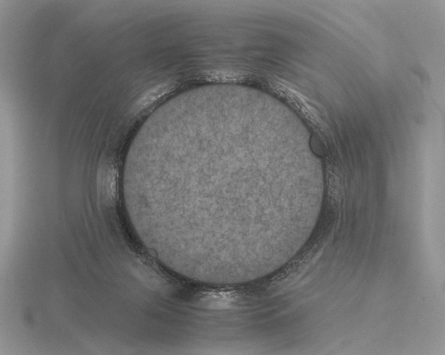 X0000115660071200912101100