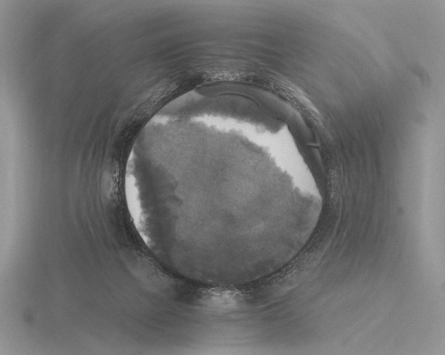 X0000115660073200912101100