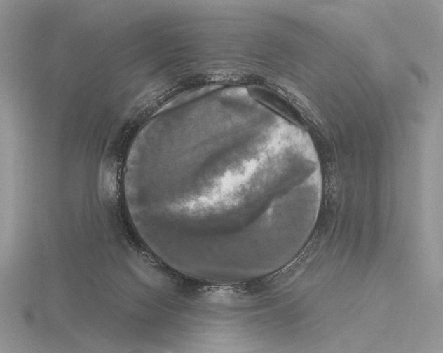 X0000115660074200912101100