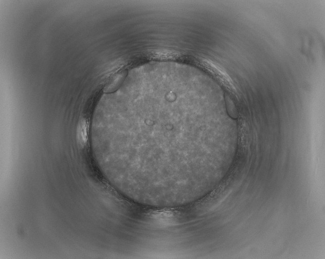 X0000115660075200912101100