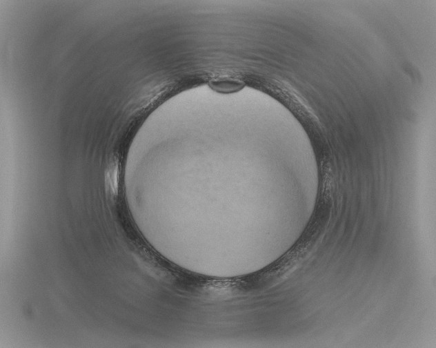 X0000115660076200912101100