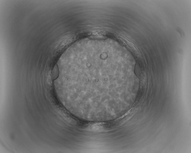 X0000115660078200912101100