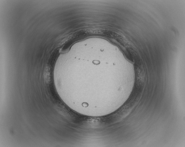 X0000115660080200912101100