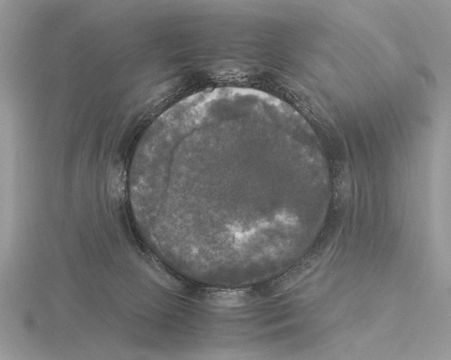 X0000115660081200912101100