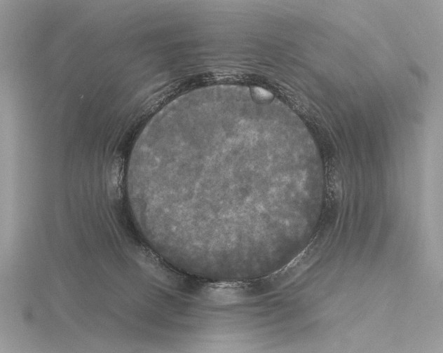 X0000115660082200912101100