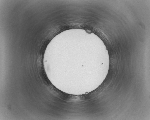 X0000115660083200912101100