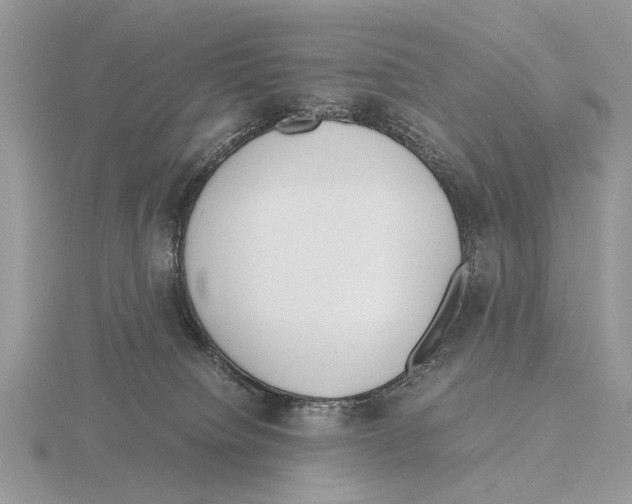 X0000115660084200912101100