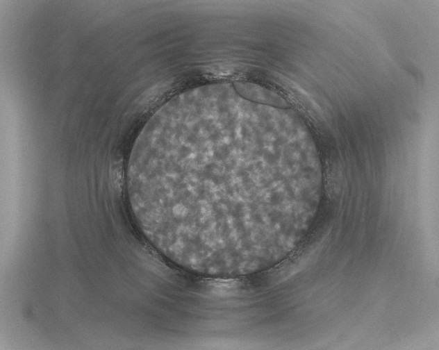 X0000115660085200912101100