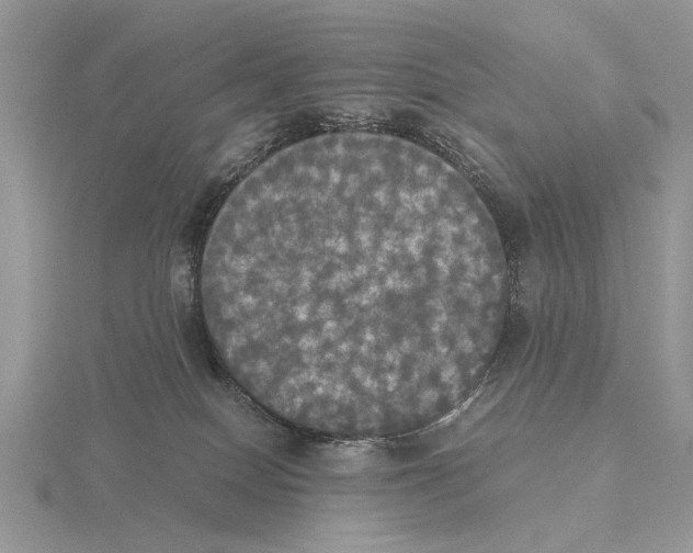 X0000115660086200912101100