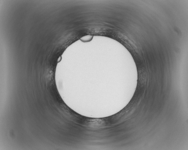 X0000115660087200912101100