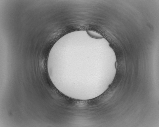 X0000115660088200912101100