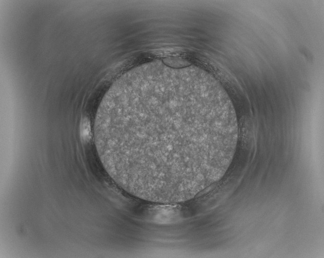 X0000115660089200912101100