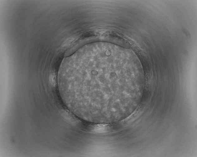 X0000115660090200912101100