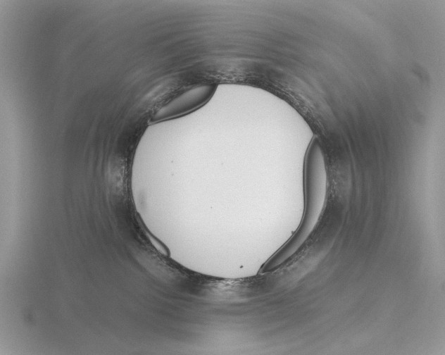 X0000115660092200912101100