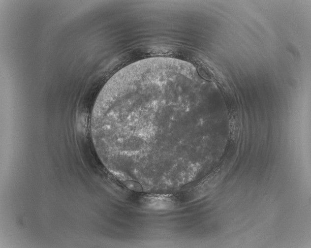 X0000115660093200912101100