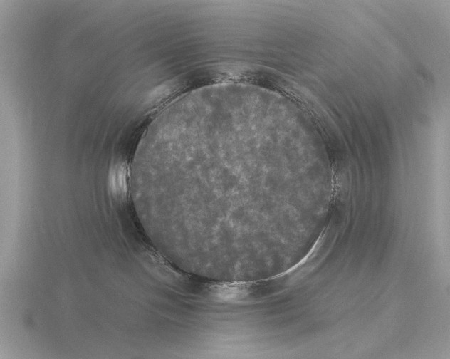 X0000115660094200912101100