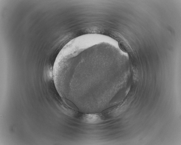 X0000115660095200912101100