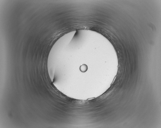 X0000115660096200912101100