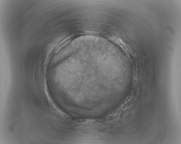 X0000115660097200912101059