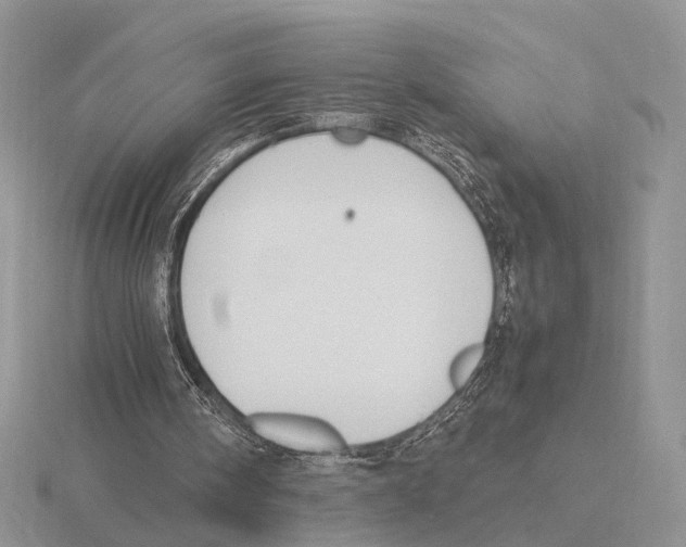 X0000115660098200912101059