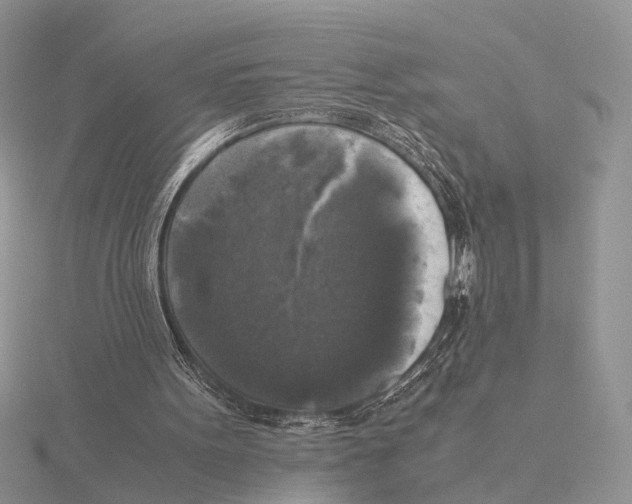 X0000115660099200912101059