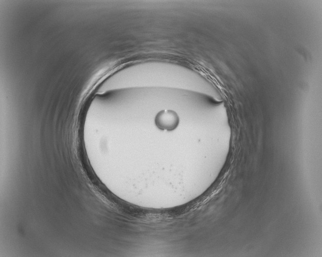 X0000115660101200912101059