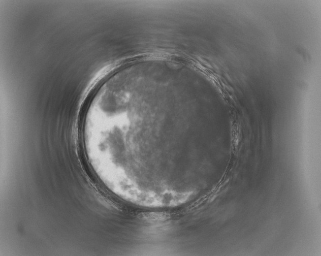 X0000115660102200912101059