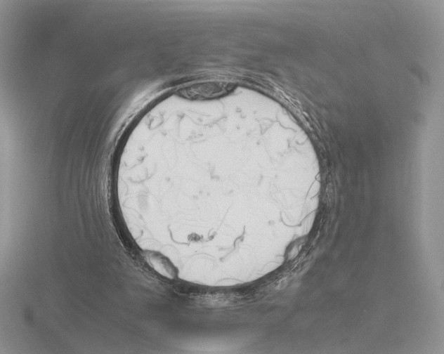 X0000115660103200912101059