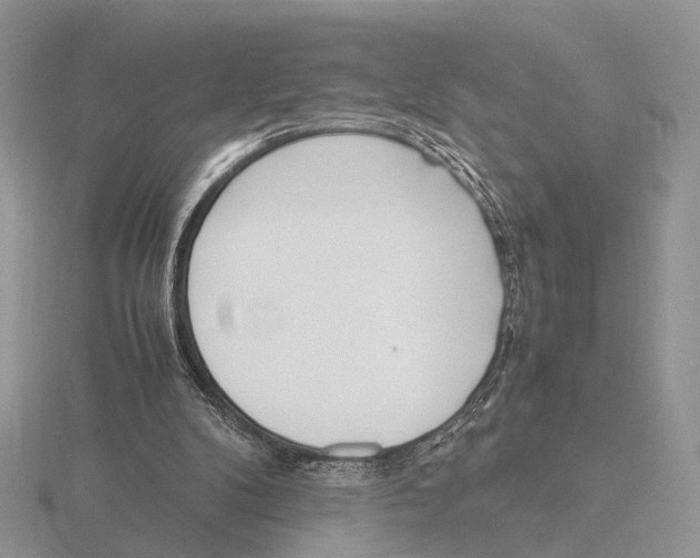 X0000115660104200912101059