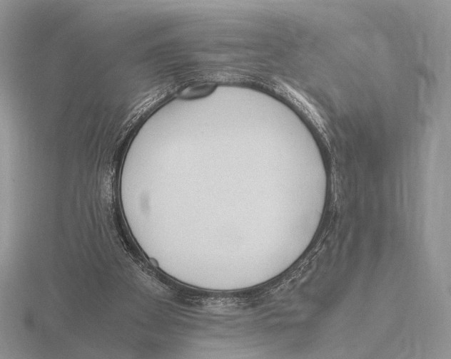 X0000115660105200912101059