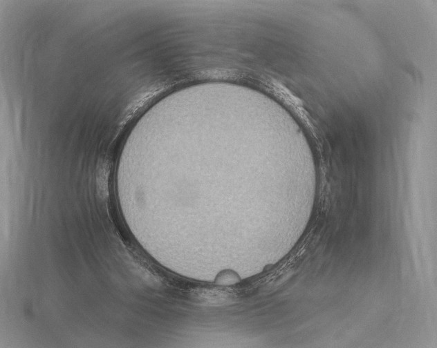 X0000115660106200912101059