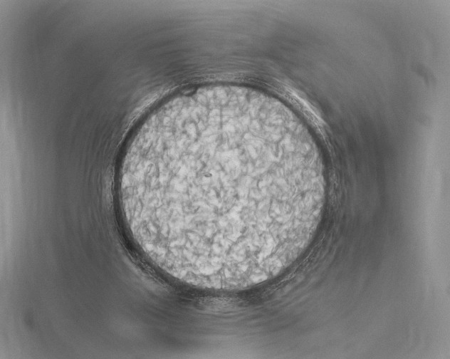 X0000115660107200912101059