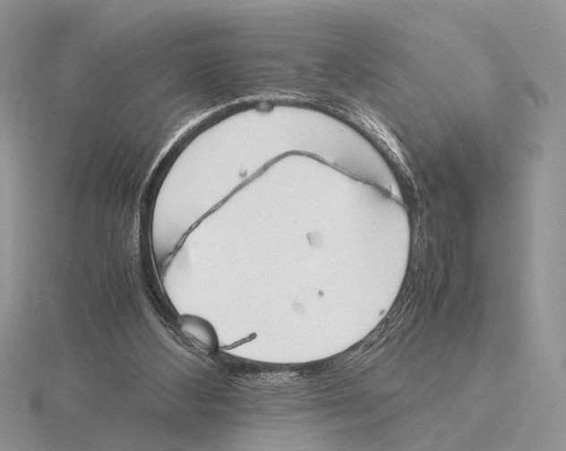 X0000115660108200912101059