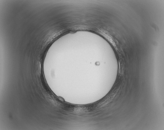 X0000115660109200912101059