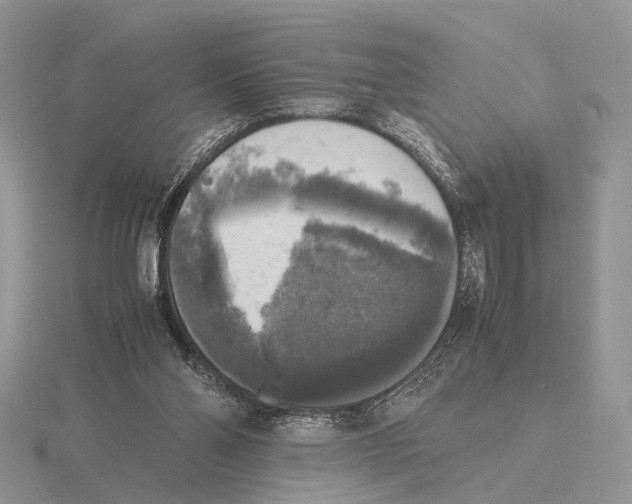 X0000115660110200912101059