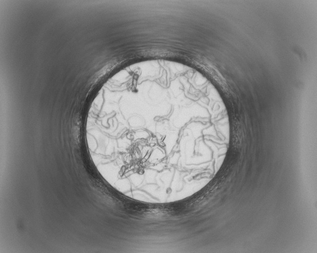 X0000115660111200912101059