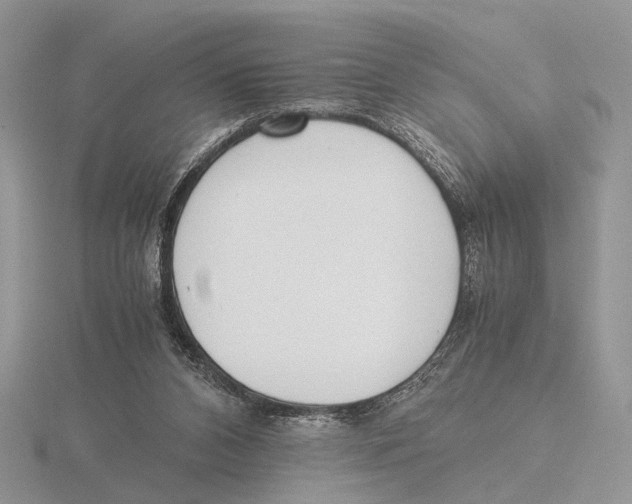 X0000115660112200912101059