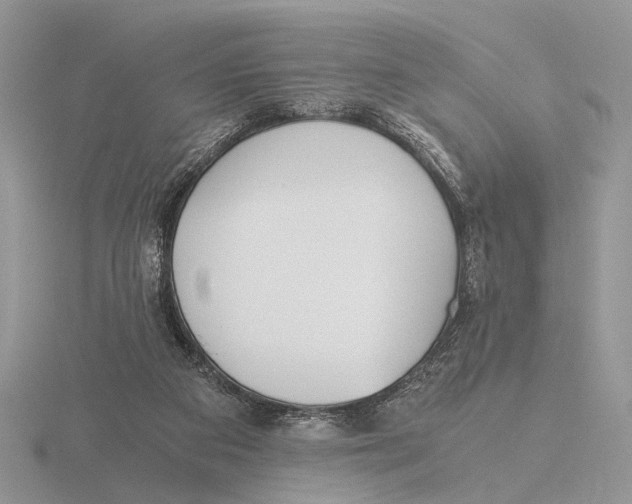 X0000115660113200912101059