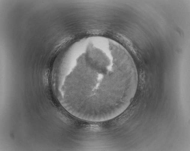 X0000115660114200912101059