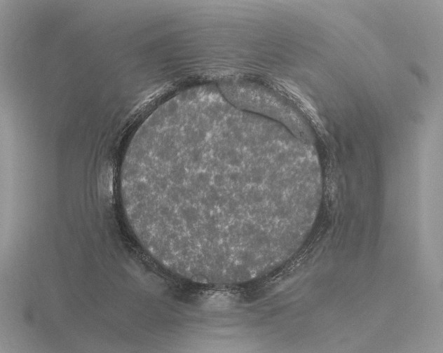 X0000115660115200912101059