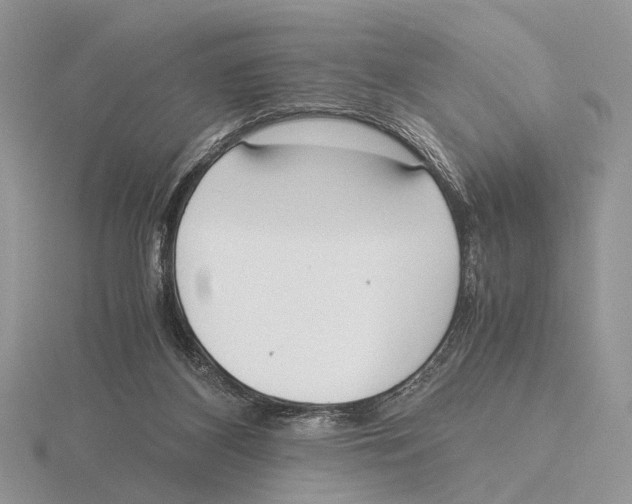 X0000115660116200912101059