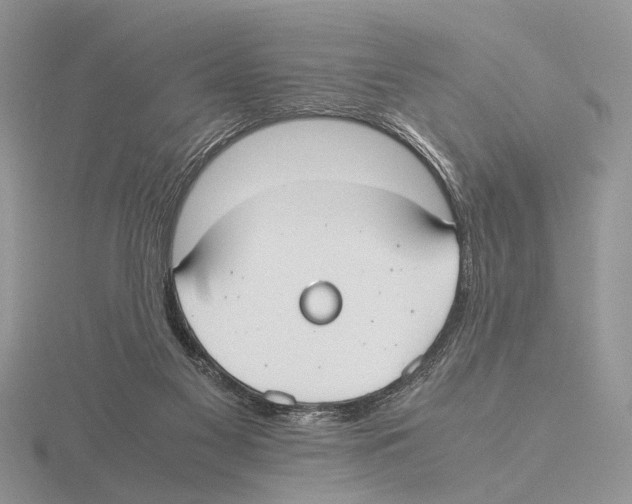 X0000115660117200912101059