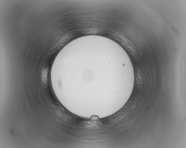 X0000115660118200912101059